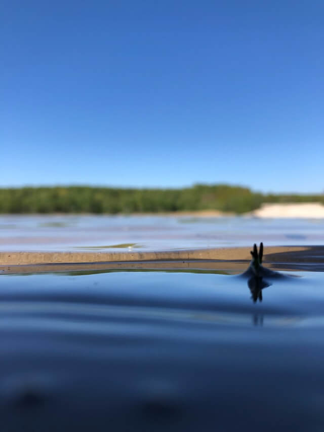 Knippen, snijden en plakken
