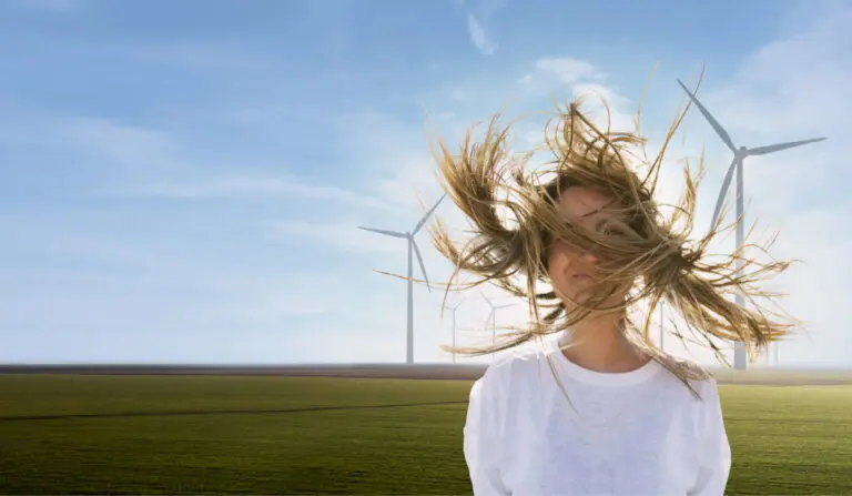 Een duurzame samenwerking met Zeeuwind